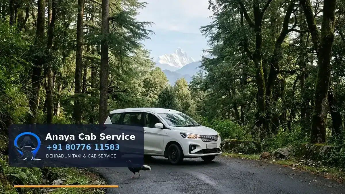 Dehradun to Binsar Taxi route