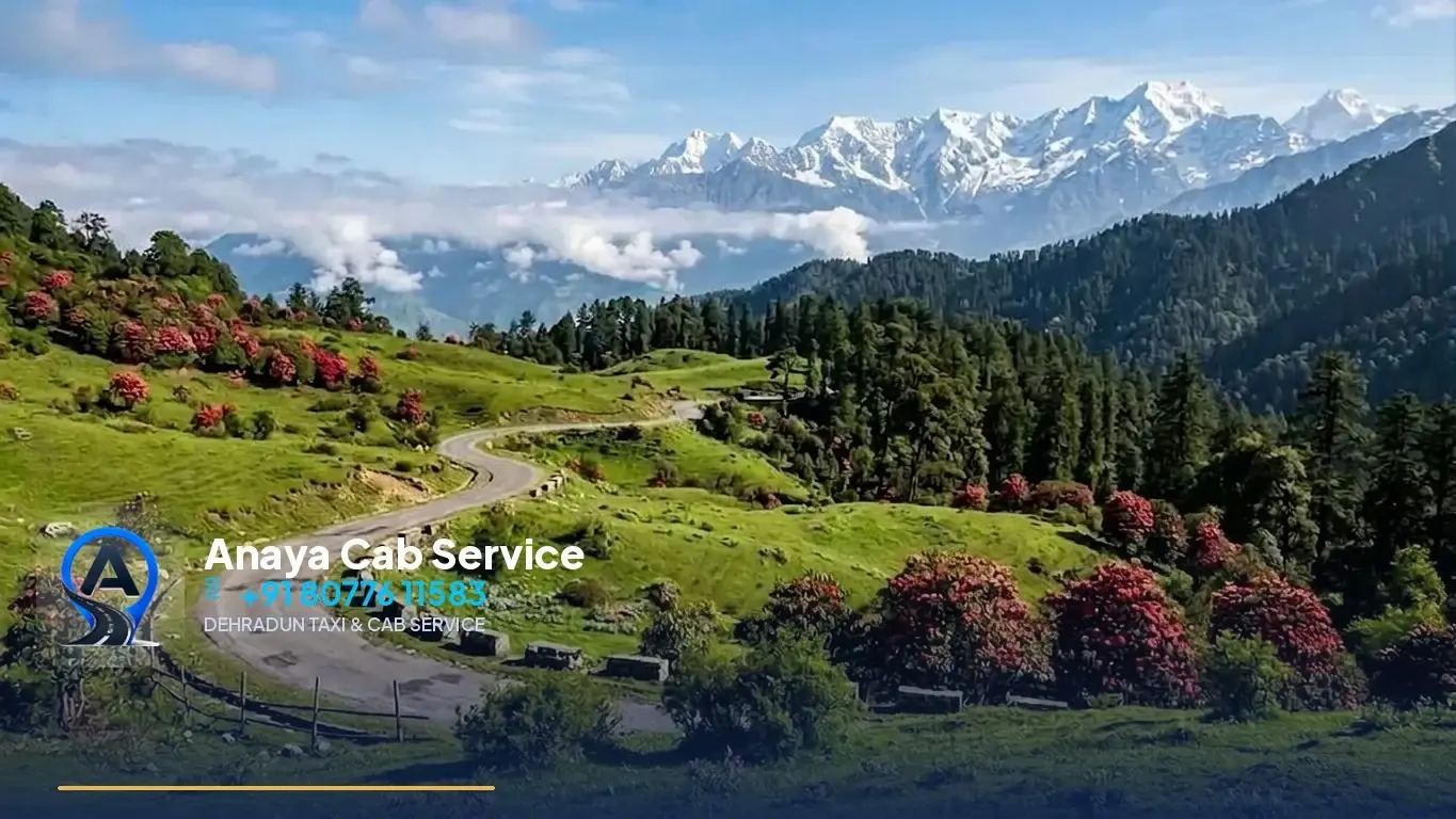 Dehradun to Chopta Taxi route