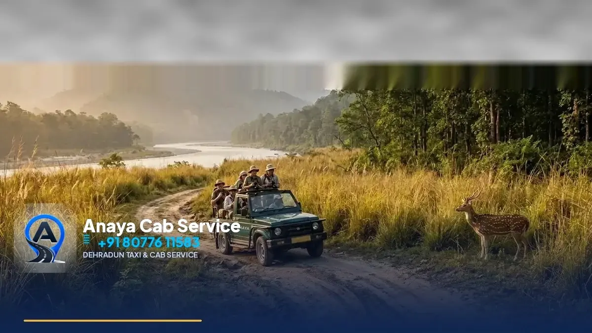 Dehradun to Jim Corbett Taxi | Cabs ₹3,500 - Anaya Cab